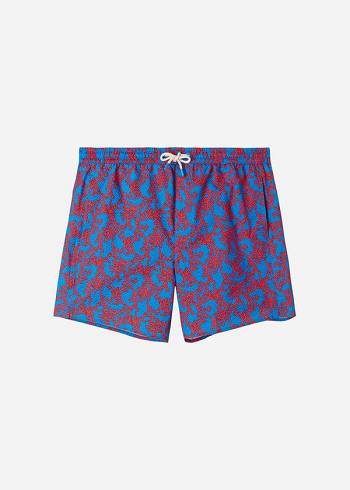 Calzedonia Formentera Sport Badbyxor Herr Blå Orange | SE1245MA