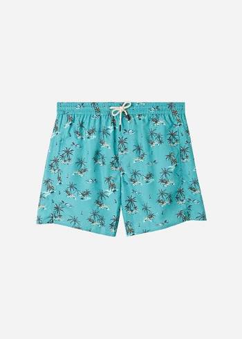 Calzedonia Formentera Sport Badbyxor Herr Gröna | SE1247WY